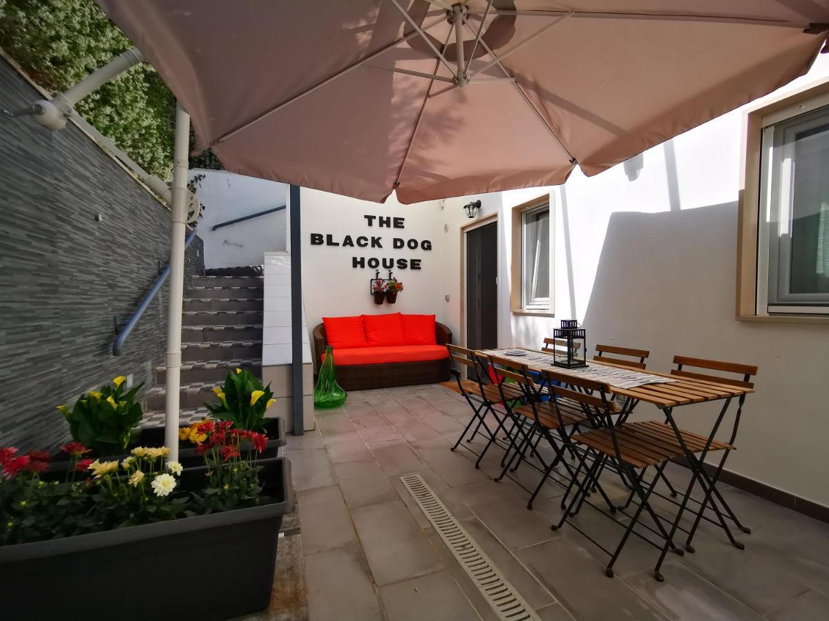 The Black Dog House Valenzano Exteriér fotografie