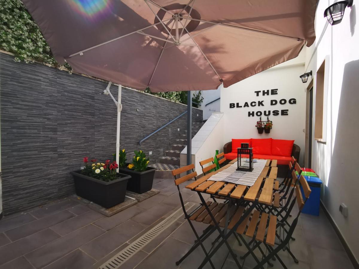The Black Dog House Valenzano Exteriér fotografie