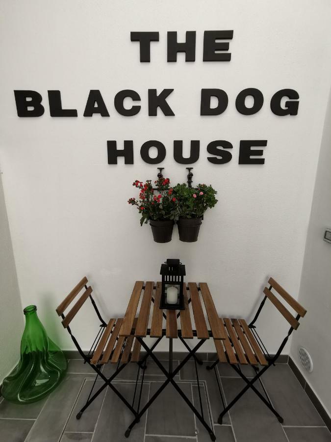 The Black Dog House Valenzano Exteriér fotografie